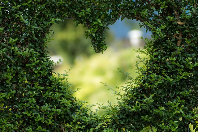 Quels sont les meilleurs plantes à cultiver dans un jardin ?