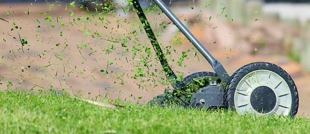 Les erreurs courantes à éviter lors de l'entretien de votre pelouse