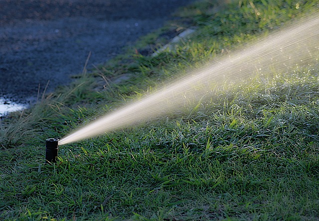 Comment installer un système d'irrigation dans un jardin ?