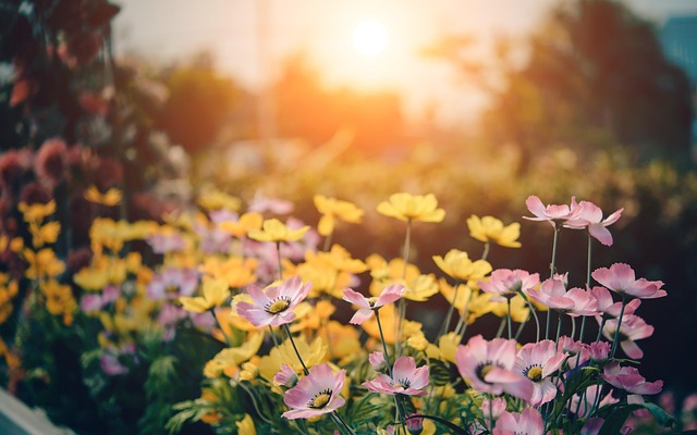 Comment aménager un petit jardin ?